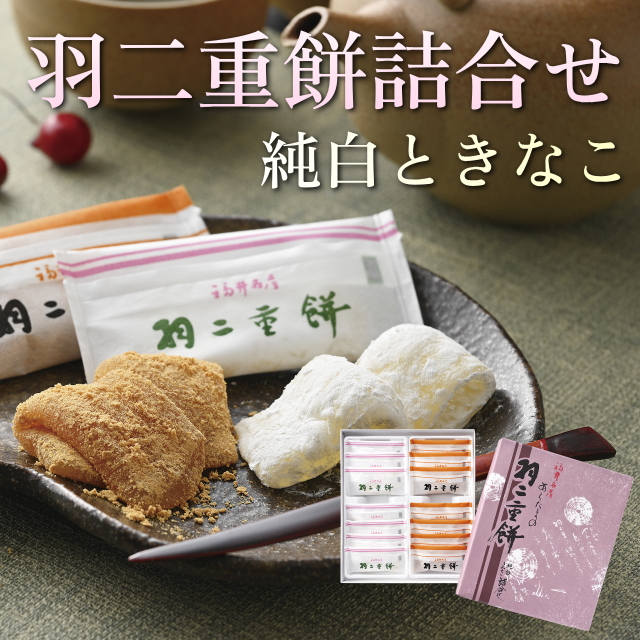 ＼福井銘菓／【新珠製菓】羽二重餅詰合せ