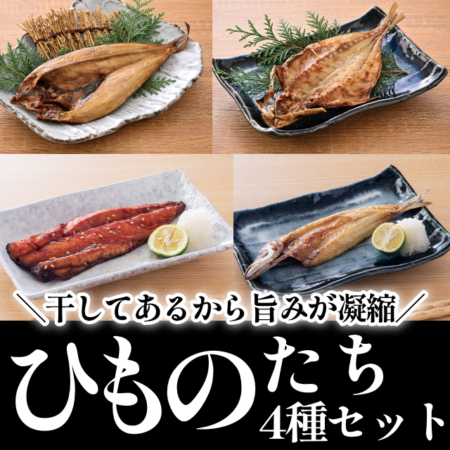 ひものたち4種セット