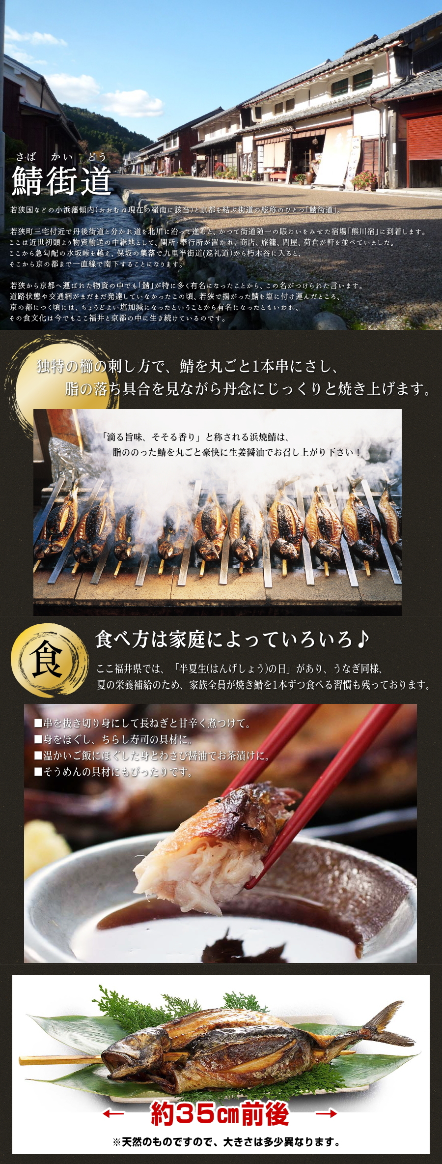 浜焼さば2本入り 北前船のカワモト